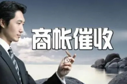 无赔偿能力诉讼困境应对策略